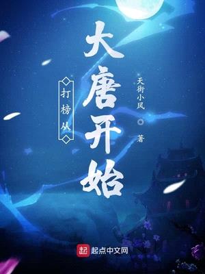 打榜从大唐开始无弹窗