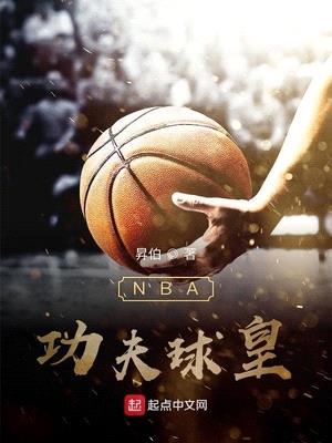 nba功夫球皇全集